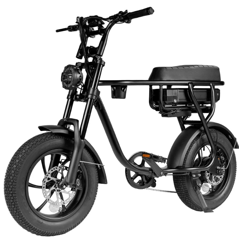 EB16 - mini Fatbike - Zwart